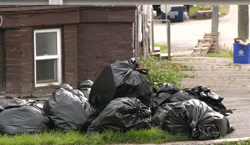 Garbage in black bags is placed with garbage bins to be separate